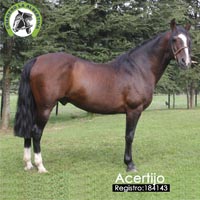 Acertijo - 184143