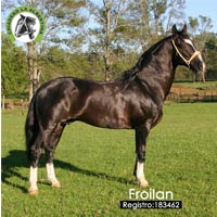 Froilan -183462